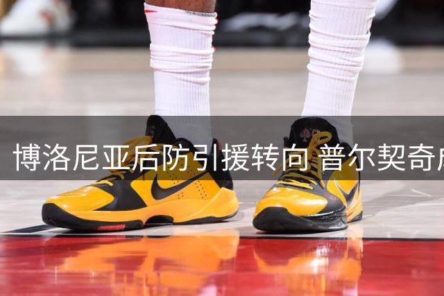 博洛尼亚后防引援转向 普尔契奇成重点目标